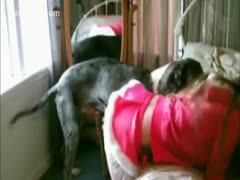 Doggy sneers at the red-clad lady